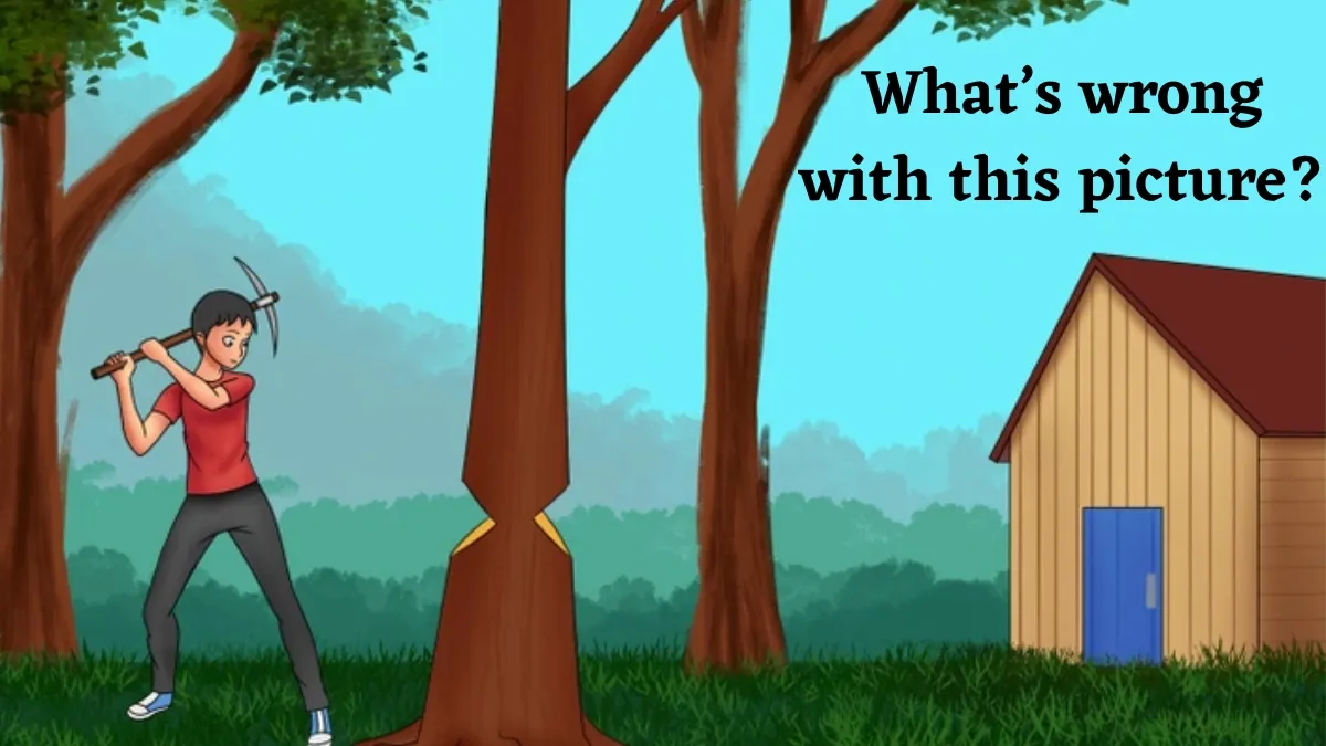 If You Possess A 140+ IQ Level, Then Find Out What’s Wrong in this Forest Area Given in the Picture